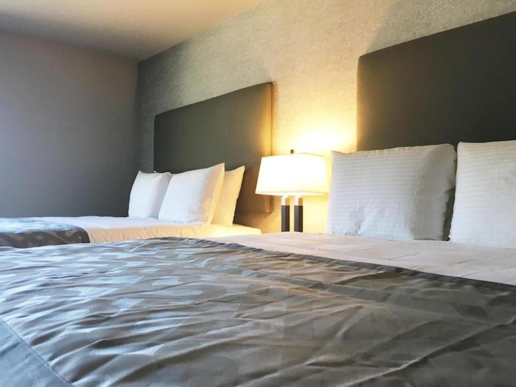 Arden Star Hotel 2*
