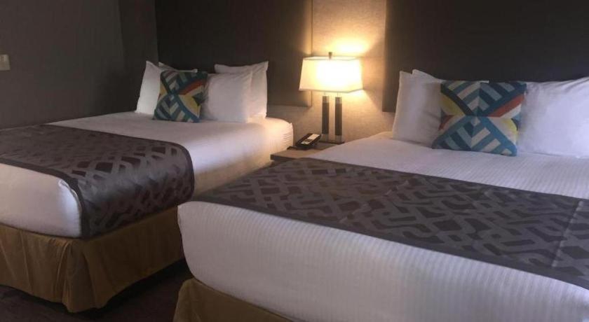 Hotel Arden Star